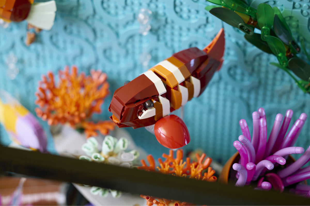 Tropical Aquarium
