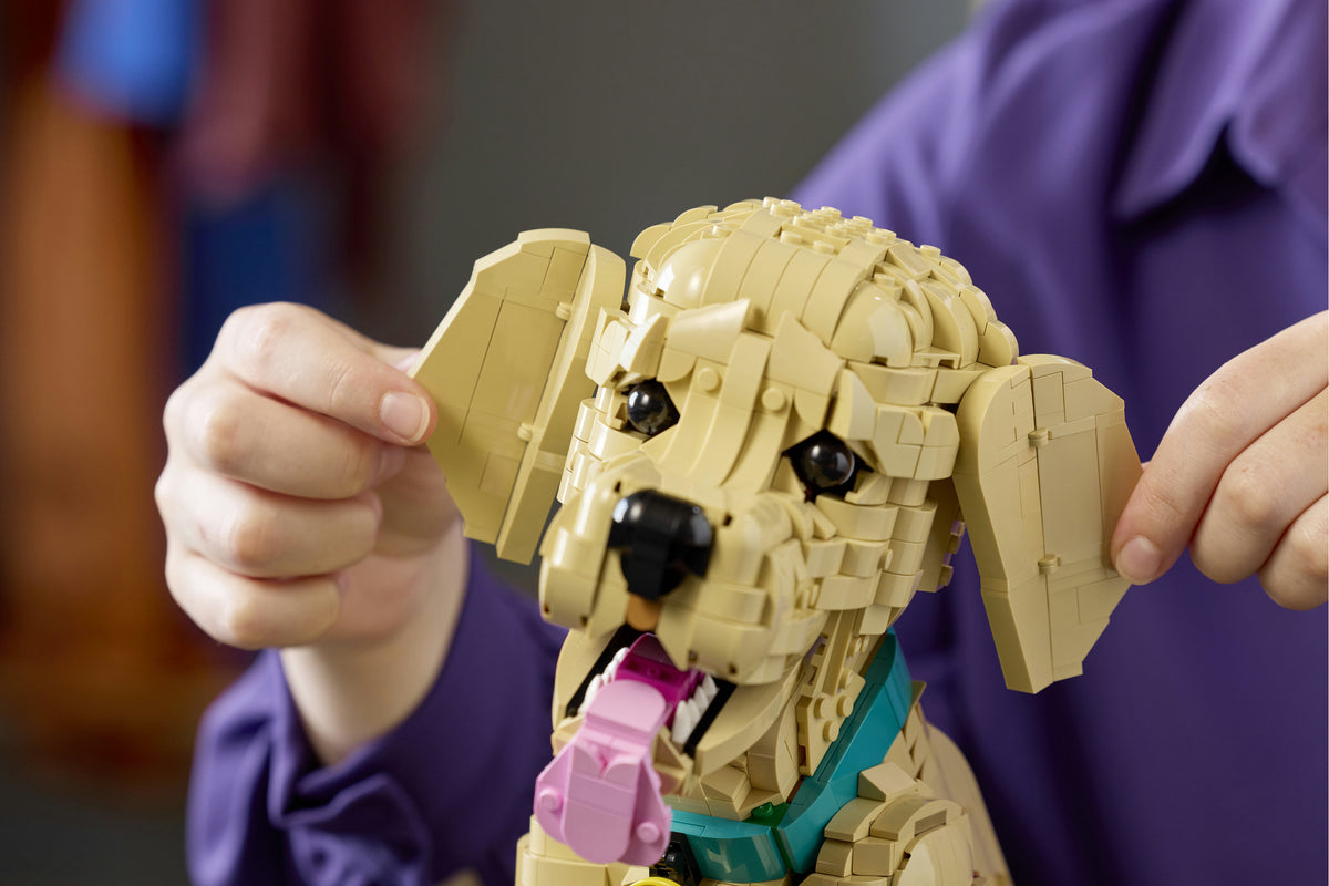 Golden Retriever Puppy