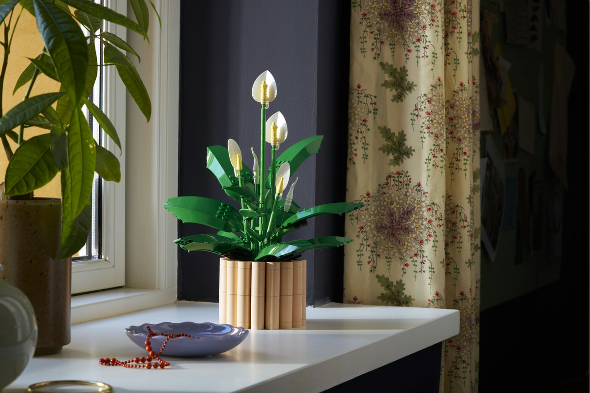 Peace Lily