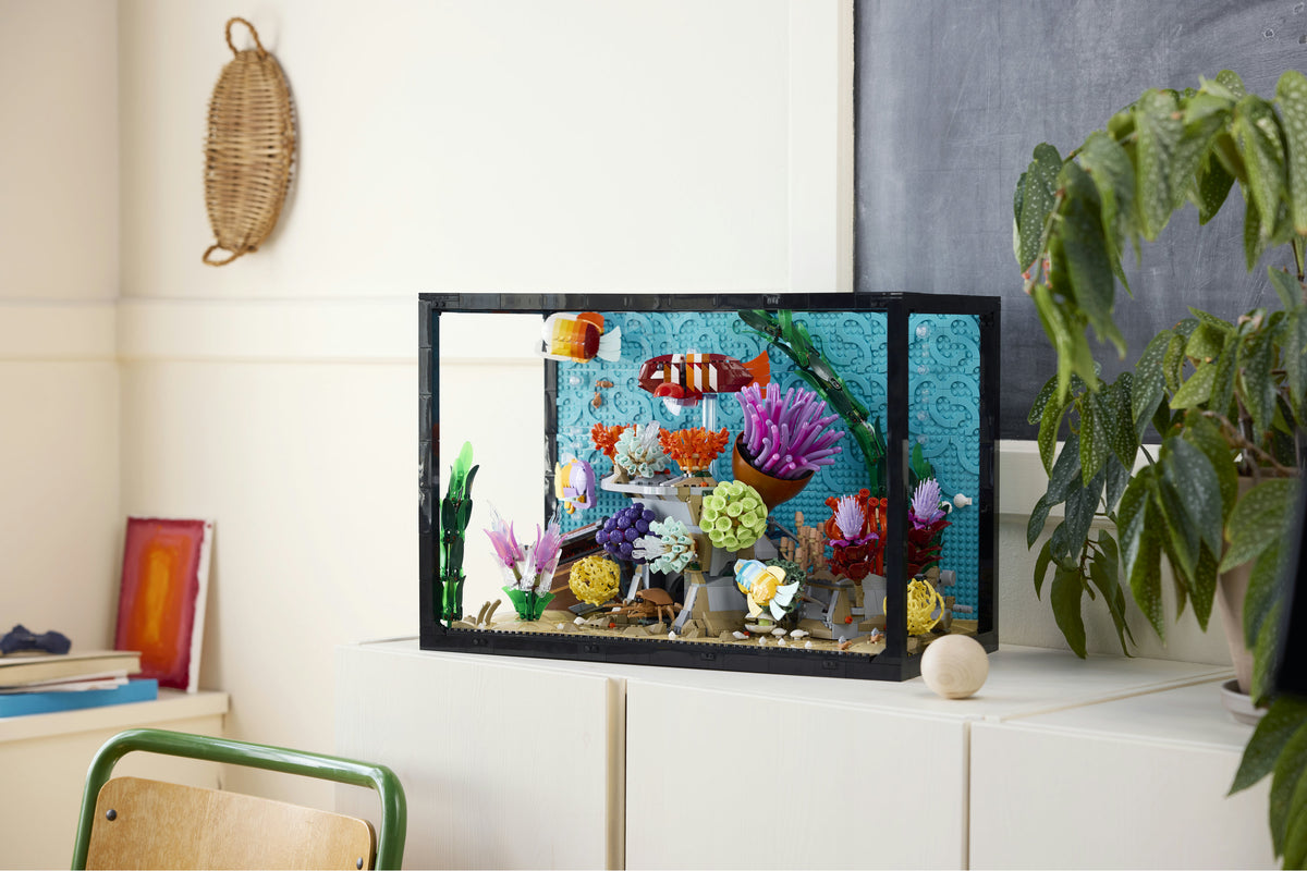Tropical Aquarium