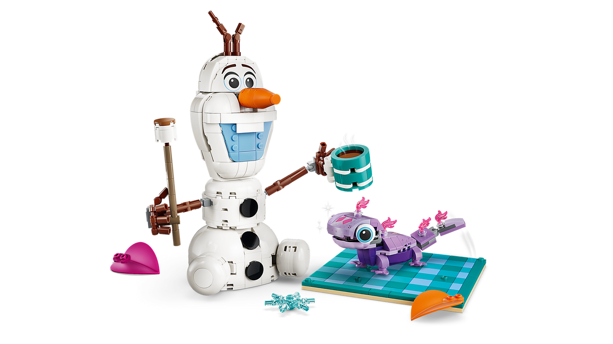 Olaf and Bruni's Picnic Fun