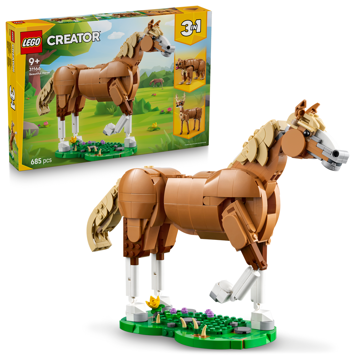 Beautiful Horse