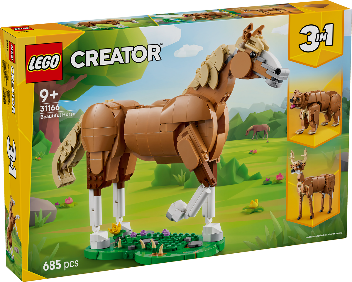 Beautiful Horse
