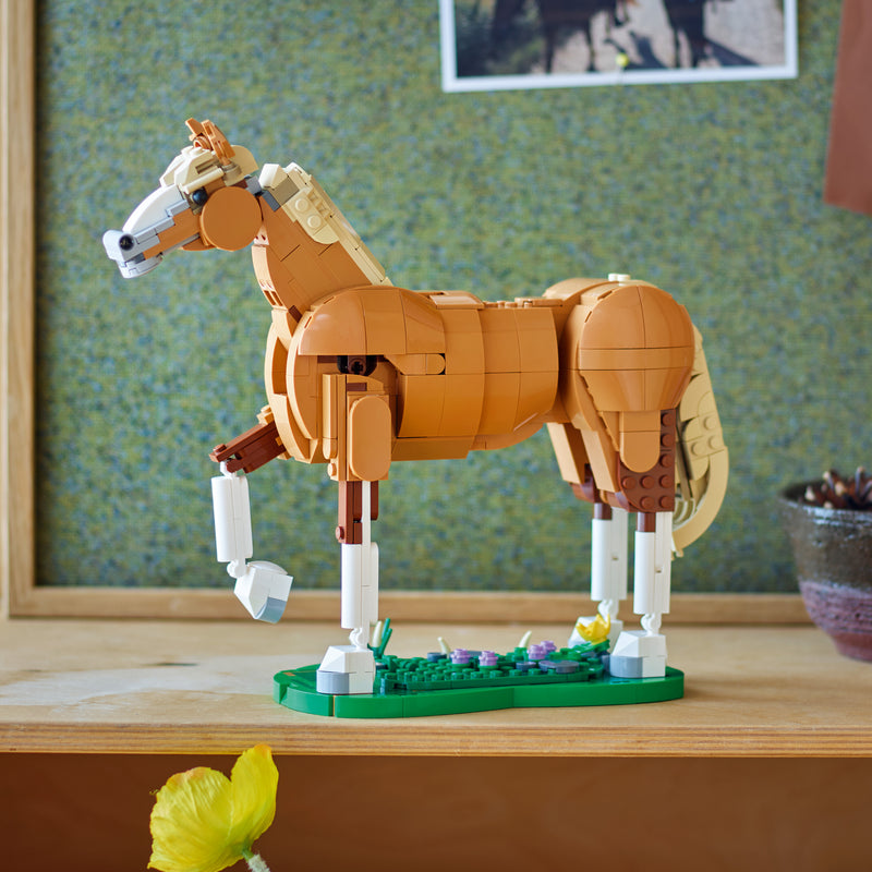Beautiful Horse