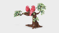 Love Birds