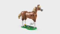 Beautiful Horse