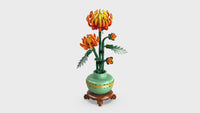 Chrysanthemum
