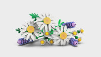Daisies