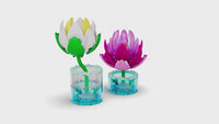 Water Lilies