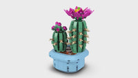 Flowering Cactus