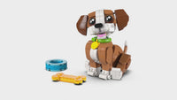 Cute Animals: Playful Puppy Dog