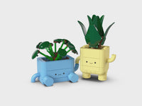 Happy Plants