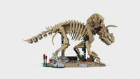 Dinosaur Fossils: Triceratops