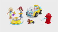 Dog-Grooming Car