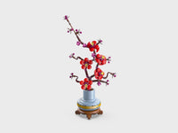 Plum Blossom