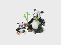 Wild Animals: Panda Family