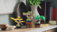 Mini Bonsai Trees