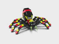 Wild Animals: Surprising Spider