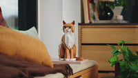 Orange Cat