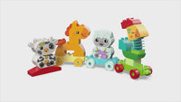 Animal Train