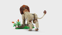 Wild Animals: Majestic Lion