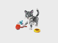 Playful Cat