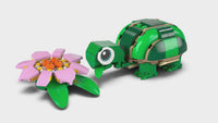 Turtle with a Water Lily Flower