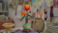 Chrysanthemum