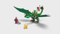 Lloyd's Green Forest Dragon