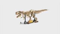 Dinosaur Fossils: Tyrannosaurus rex