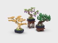 Mini Bonsai Trees