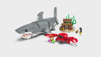 Fierce Shark with a Treasure Chest