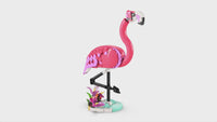 Wild Animals: Pink Flamingo