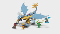 Ninja Dragon Riyu's Battle