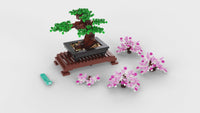 Bonsai Tree